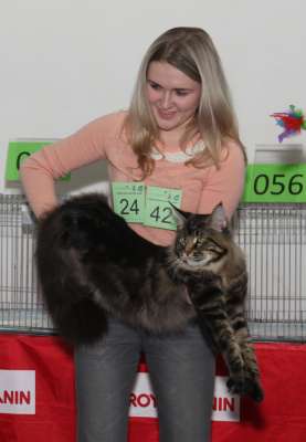 �������� ����� '������� ���-�����' 30 ������-1 ������� 2013., ������������ ��� 2467